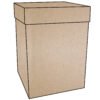 CAJA CON TAPA KRAFT