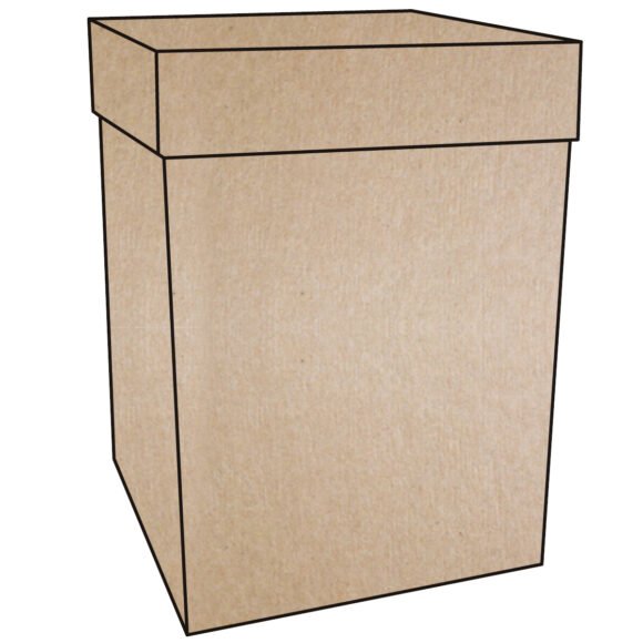 CAJA CON TAPA KRAFT